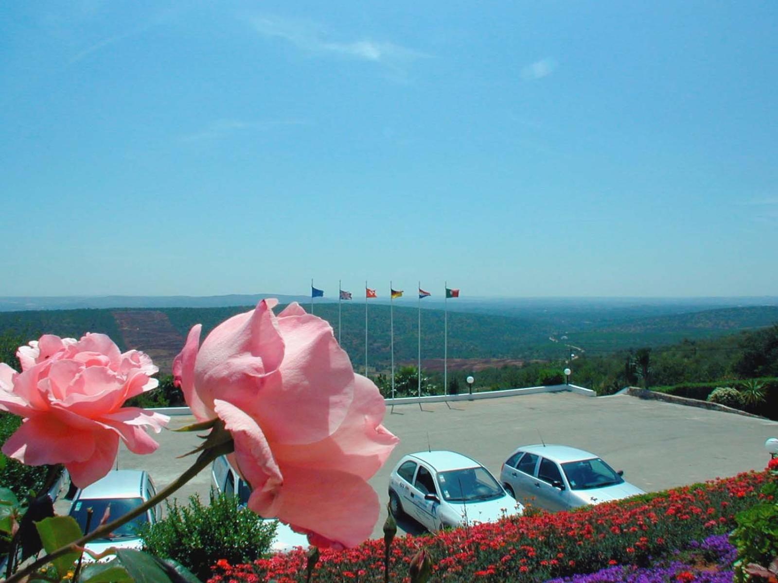 Alte Hotel Exterior photo